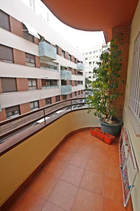 Sevilla Clasica: Amigos Y Familia. Parking Gratis! Екстер'єр фото